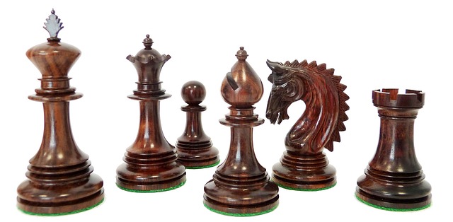 Fra begynder til mester: Trin for trin guide til at blive en skakbræt-mester